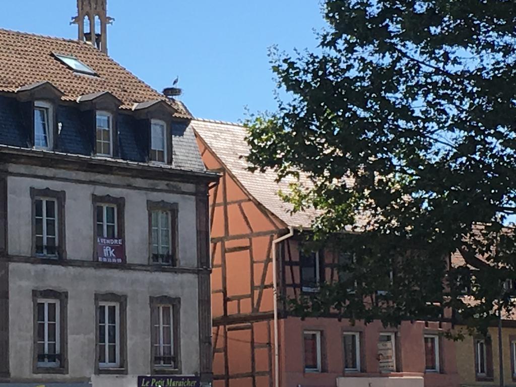 Les Hauts De Colmar Leilighet Eksteriør bilde